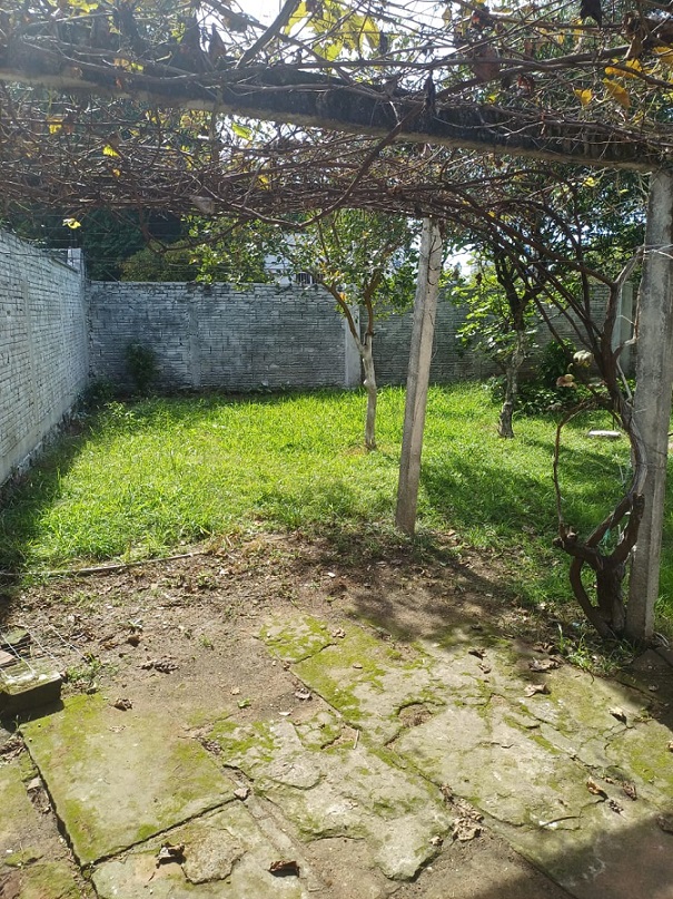 Foto 19